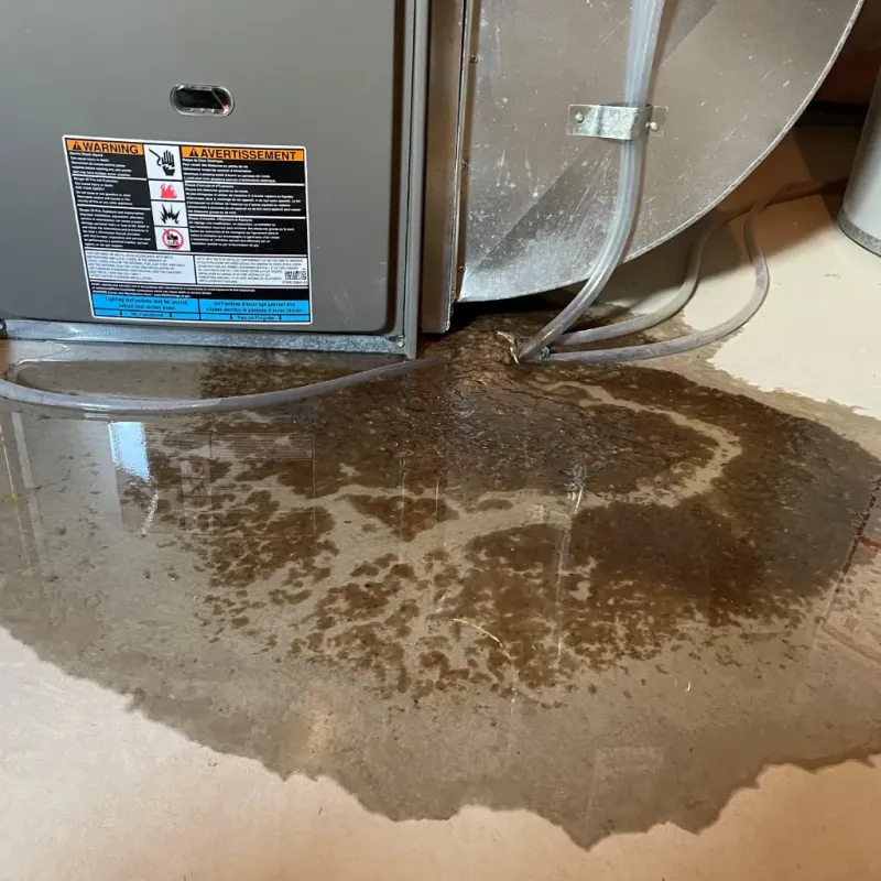 Appliance Leak Cleanup in Pasquotank County, NC